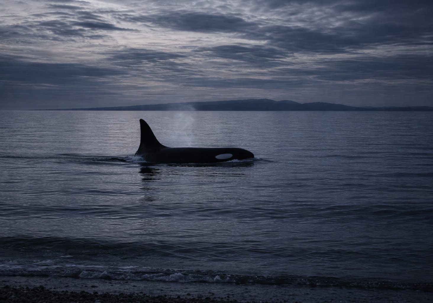 pathway-spiritual-growth-orca